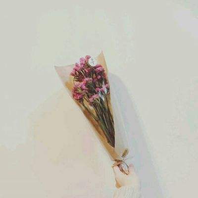 巫师之昆特牌手游多酷版下载